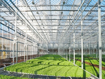 Tunnel Greenhouse