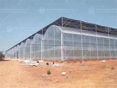 polycarbonate greenhouse