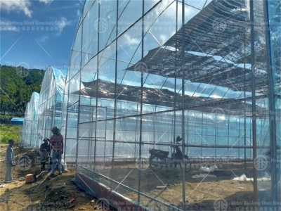 Solar Greenhouse