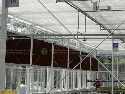 Single Span Greenhouse