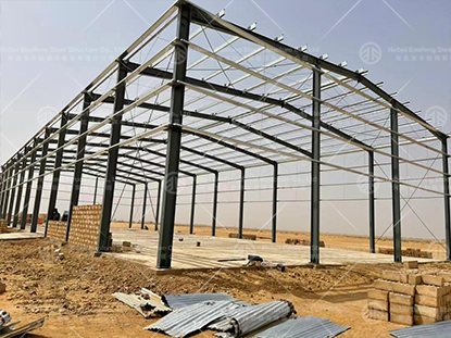 Senegal storage steel structure warehouse